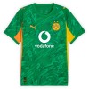 Camiseta de fútbol Portero Borussia Dortmund Kobel 1 2025-26 Verde - Hombre